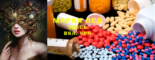 PSILOCYBIN Алексеевка