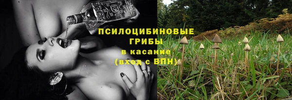 PSILOCYBIN Алексеевка